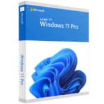 WINDOWS 10 HOME TO WINDOWS 10 PRO PROFESSIONAL LICENSE KEY